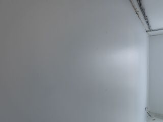 DSC_0209.jpg