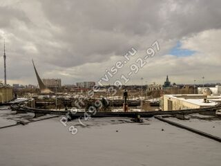 DSC_5576.jpg